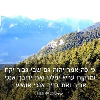 Picture 03 - ישעיה 49:25 HEB - כי כה אמר יהוה גם שבי גבור - Bible Verse Picture