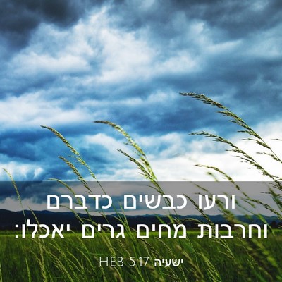 Picture 03 - ישעיה 5:17 HEB - ורעו כבשים כדברם וחרבות - Bible Verse Picture