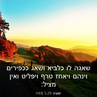 Picture 03 - ישעיה 5:29 HEB - שאגה לו כלביא ושאג ככפירים - Bible Verse Picture