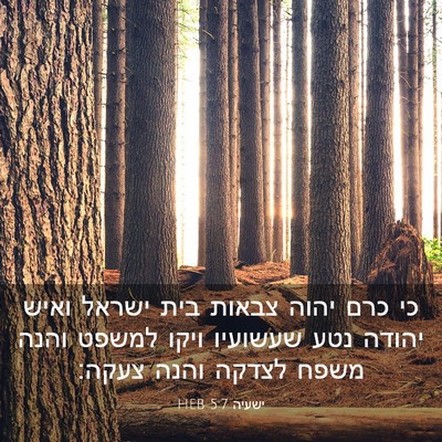 Picture 03 - ישעיה 5:7 HEB - כי כרם יהוה צבאות בית ישראל - Bible Verse Picture