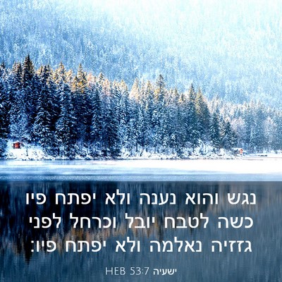 Picture 03 - ישעיה 53:7 HEB - נגש והוא נענה ולא יפתח פיו - Bible Verse Picture