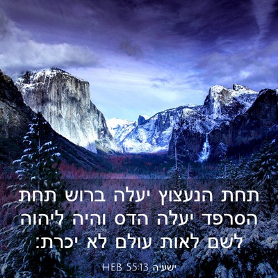 Picture 03 - ישעיה 55:13 HEB - תחת הנעצוץ יעלה ברוש תחת - Bible Verse Picture