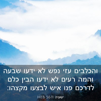 Picture 03 - ישעיה 56:11 HEB - והכלבים עזי נפש לא ידעו - Bible Verse Picture