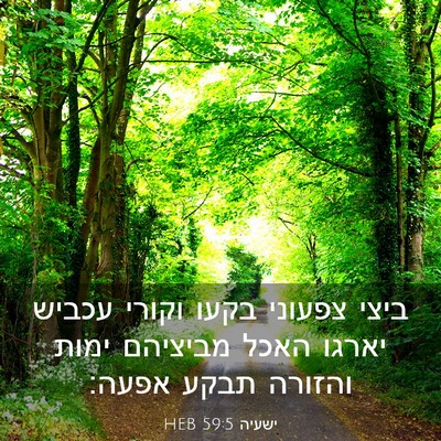 Picture 03 - ישעיה 59:5 HEB - ביצי צפעוני בקעו וקורי - Bible Verse Picture
