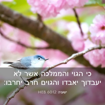Picture 03 - ישעיה 60:12 HEB - כי הגוי והממלכה אשר לא - Bible Verse Picture