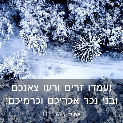 Picture 03 - ישעיה 61:5 HEB - ועמדו זרים ורעו צאנכם ובני - Bible Verse Picture