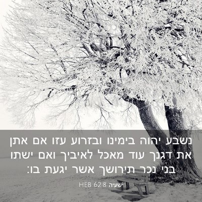 Picture 03 - ישעיה 62:8 HEB - נשבע יהוה בימינו ובזרוע - Bible Verse Picture