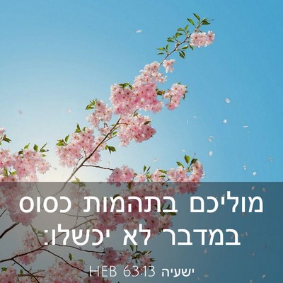 Picture 03 - ישעיה 63:13 HEB - מוליכם בתהמות כסוס במדבר - Bible Verse Picture