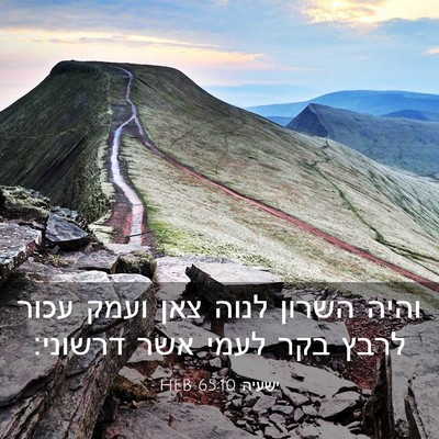 Picture 03 - ישעיה 65:10 HEB - והיה השרון לנוה צאן ועמק - Bible Verse Picture