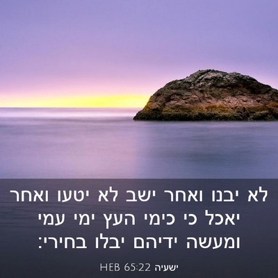 Picture 03 - ישעיה 65:22 HEB - לא יבנו ואחר ישב לא יטעו - Bible Verse Picture