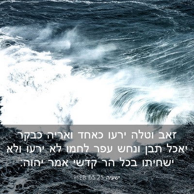Picture 03 - ישעיה 65:25 HEB - זאב וטלה ירעו כאחד ואריה - Bible Verse Picture