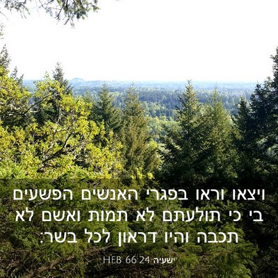 Picture 03 - ישעיה 66:24 HEB - ויצאו וראו בפגרי האנשים - Bible Verse Picture