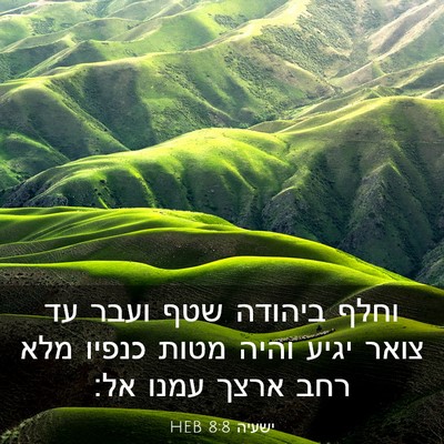 Picture 03 - ישעיה 8:8 HEB - וחלף ביהודה שטף ועבר עד - Bible Verse Picture