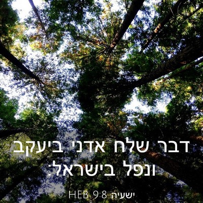 Picture 03 - ישעיה 9:8 HEB - דבר שלח אדני ביעקב ונפל - Bible Verse Picture