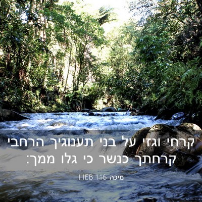 Picture 03 - מיכה 1:16 HEB - קרחי וגזי על בני תענוגיך - Bible Verse Picture