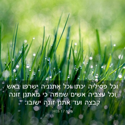 Picture 03 - מיכה 1:7 HEB - וכל פסיליה יכתו וכל אתנניה - Bible Verse Picture