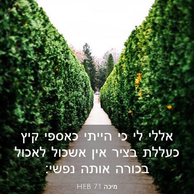 Picture 03 - מיכה 7:1 HEB - אללי לי כי הייתי כאספי קיץ - Bible Verse Picture