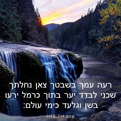 Picture 03 - מיכה 7:14 HEB - רעה עמך בשבטך צאן נחלתך - Bible Verse Picture