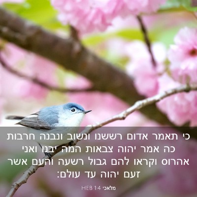 Picture 03 - מלאכי 1:4 HEB - כי תאמר אדום רששנו ונשוב - Bible Verse Picture