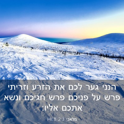 Picture 03 - מלאכי 2:3 HEB - הנני גער לכם את הזרע וזריתי - Bible Verse Picture