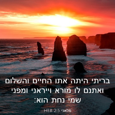 Picture 03 - מלאכי 2:5 HEB - בריתי היתה אתו החיים - Bible Verse Picture