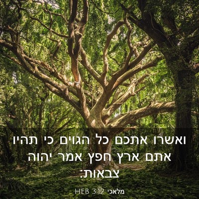 Picture 03 - מלאכי 3:12 HEB - ואשרו אתכם כל הגוים כי תהיו - Bible Verse Picture
