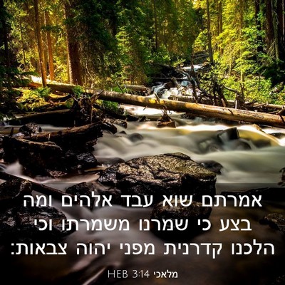 Picture 03 - מלאכי 3:14 HEB - אמרתם שוא עבד אלהים ומה בצע - Bible Verse Picture