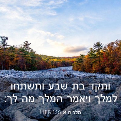 Picture 03 - מלכים א 1:16 HEB - ותקד בת שבע ותשתחו למלך - Bible Verse Picture