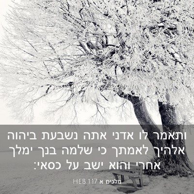 Picture 03 - מלכים א 1:17 HEB - ותאמר לו אדני אתה נשבעת - Bible Verse Picture
