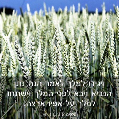 Picture 03 - מלכים א 1:23 HEB - ויגידו למלך לאמר הנה נתן - Bible Verse Picture