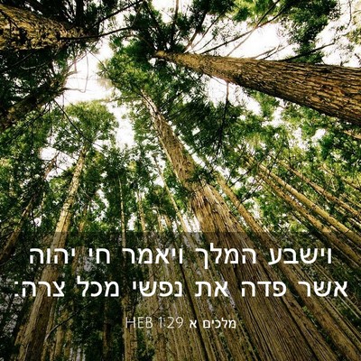 Picture 03 - מלכים א 1:29 HEB - וישבע המלך ויאמר חי יהוה - Bible Verse Picture