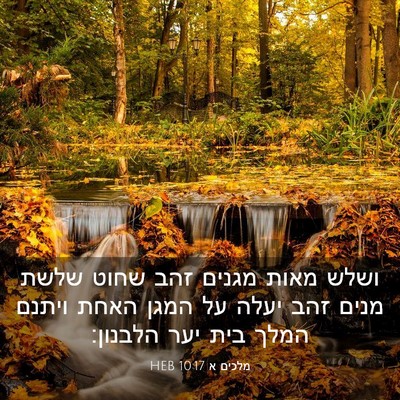 Picture 03 - מלכים א 10:17 HEB - ושלש מאות מגנים זהב שחוט - Bible Verse Picture