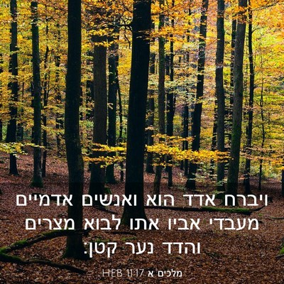 Picture 03 - מלכים א 11:17 HEB - ויברח אדד הוא ואנשים - Bible Verse Picture
