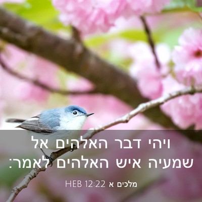Picture 03 - מלכים א 12:22 HEB - ויהי דבר האלהים אל שמעיה - Bible Verse Picture