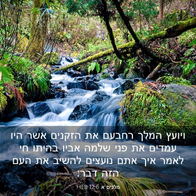 Picture 03 - מלכים א 12:6 HEB - ויועץ המלך רחבעם את הזקנים - Bible Verse Picture