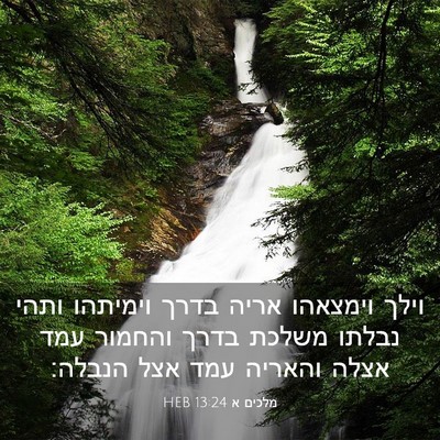 Picture 03 - מלכים א 13:24 HEB - וילך וימצאהו אריה בדרך - Bible Verse Picture
