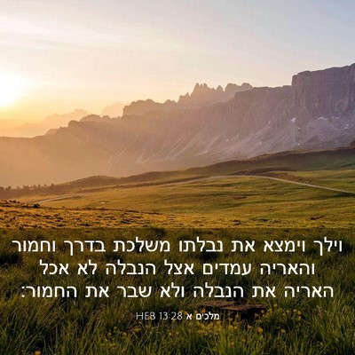 Picture 03 - מלכים א 13:28 HEB - וילך וימצא את נבלתו משלכת - Bible Verse Picture