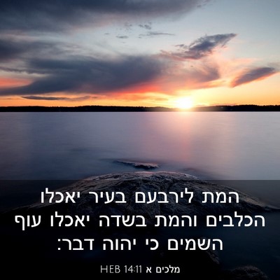 Picture 03 - מלכים א 14:11 HEB - המת לירבעם בעיר יאכלו - Bible Verse Picture