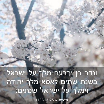 Picture 03 - מלכים א 15:25 HEB - ונדב בן ירבעם מלך על ישראל - Bible Verse Picture