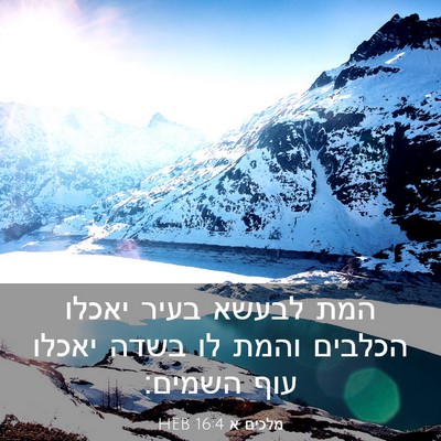Picture 03 - מלכים א 16:4 HEB - המת לבעשא בעיר יאכלו - Bible Verse Picture