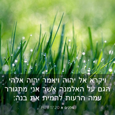 Picture 03 - מלכים א 17:20 HEB - ויקרא אל יהוה ויאמר יהוה - Bible Verse Picture