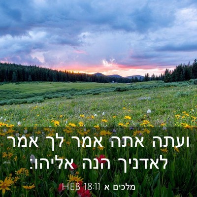 Picture 03 - מלכים א 18:11 HEB - ועתה אתה אמר לך אמר לאדניך - Bible Verse Picture