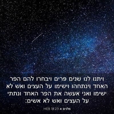 Picture 03 - מלכים א 18:23 HEB - ויתנו לנו שנים פרים ויבחרו - Bible Verse Picture