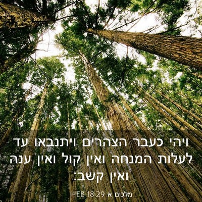Picture 03 - מלכים א 18:29 HEB - ויהי כעבר הצהרים ויתנבאו - Bible Verse Picture