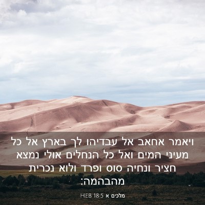 Picture 03 - מלכים א 18:5 HEB - ויאמר אחאב אל עבדיהו לך - Bible Verse Picture