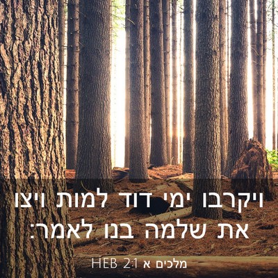 Picture 03 - מלכים א 2:1 HEB - ויקרבו ימי דוד למות ויצו את - Bible Verse Picture