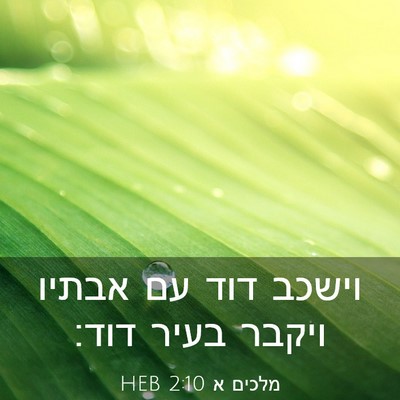 Picture 03 - מלכים א 2:10 HEB - וישכב דוד עם אבתיו ויקבר - Bible Verse Picture