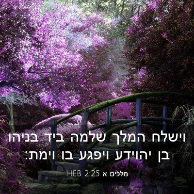 Picture 03 - מלכים א 2:25 HEB - וישלח המלך שלמה ביד בניהו - Bible Verse Picture