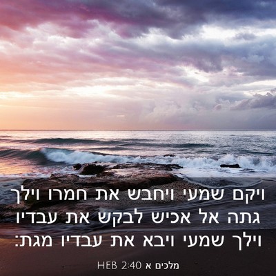 Picture 03 - מלכים א 2:40 HEB - ויקם שמעי ויחבש את חמרו - Bible Verse Picture