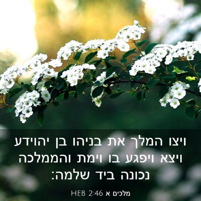Picture 03 - מלכים א 2:46 HEB - ויצו המלך את בניהו בן - Bible Verse Picture